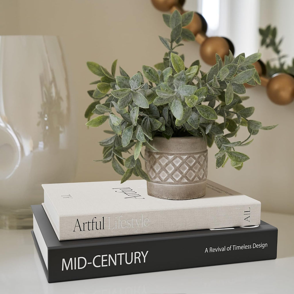 Aesthetic Decorative Books Set of 2 - Stylish Boxes for Coffee Table Decor | Stylish Modern Home Decoration for Your
