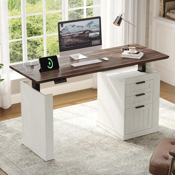 55 Inches Electric Standing Desk with File Cabinet, Computer Desk | Height Adjustable Desk with 3 Drawers, Farmhouse