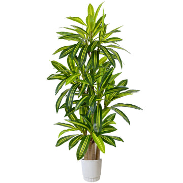 6ft Artificial Dracaena Tree Fake Floor Plant in White Planter