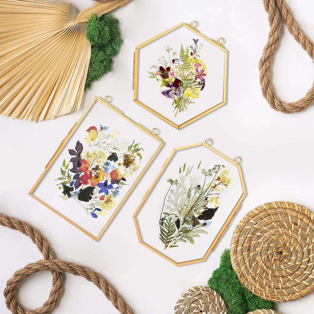 3 Pcs Pressed Flower Frames with Tweezers, Wall Hanging Double Glass Frames with Metal Chain for Pressed Dried