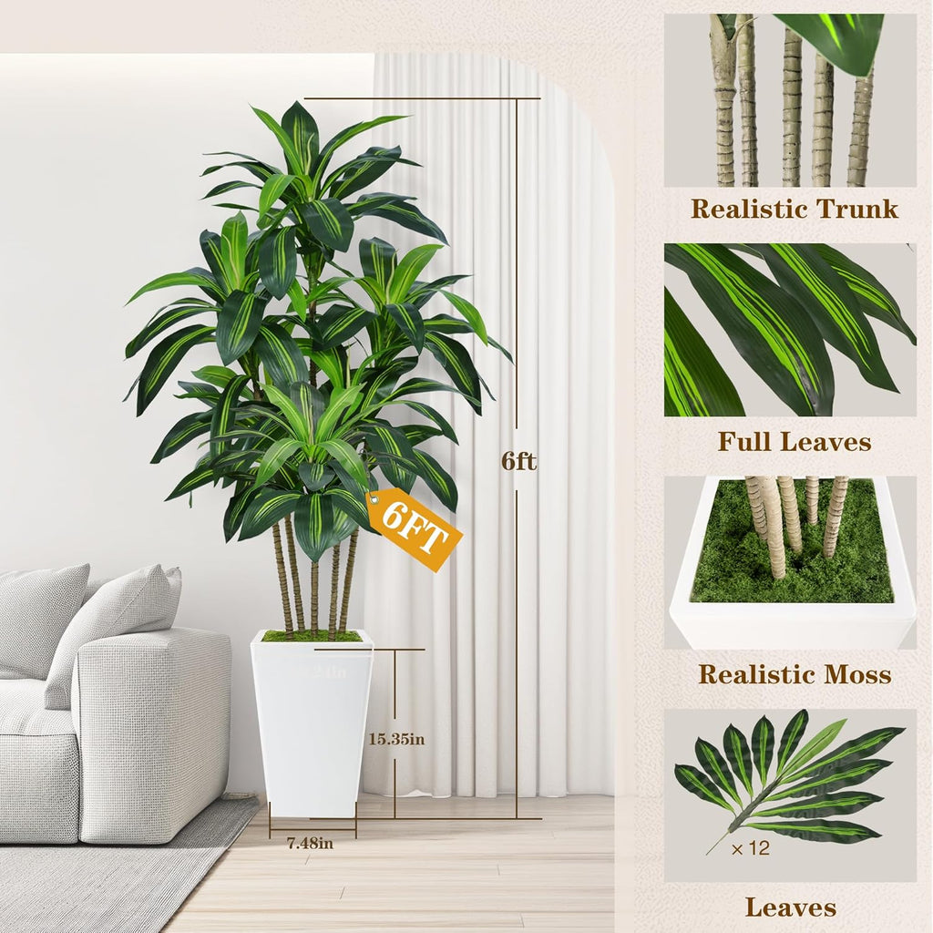 6FT Artificial Dracaena Tree, Fake Tree Indoor with White Tall Planter,Tall Artificial Plants Indoor,Artificial Silk