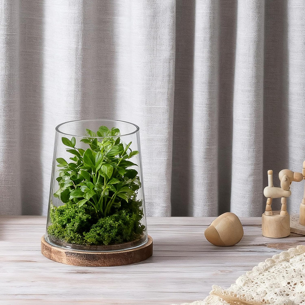 6" Wide Glass Hurricane Candle Holders with Handmade Sturdy Glass Sleeves and Vintage Natural Wood Base for Pillar