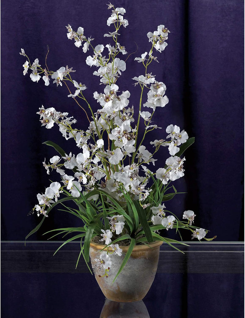 Dancing Lady Silk Orchid Arrangement White 29" x 10.25" x 10.25"