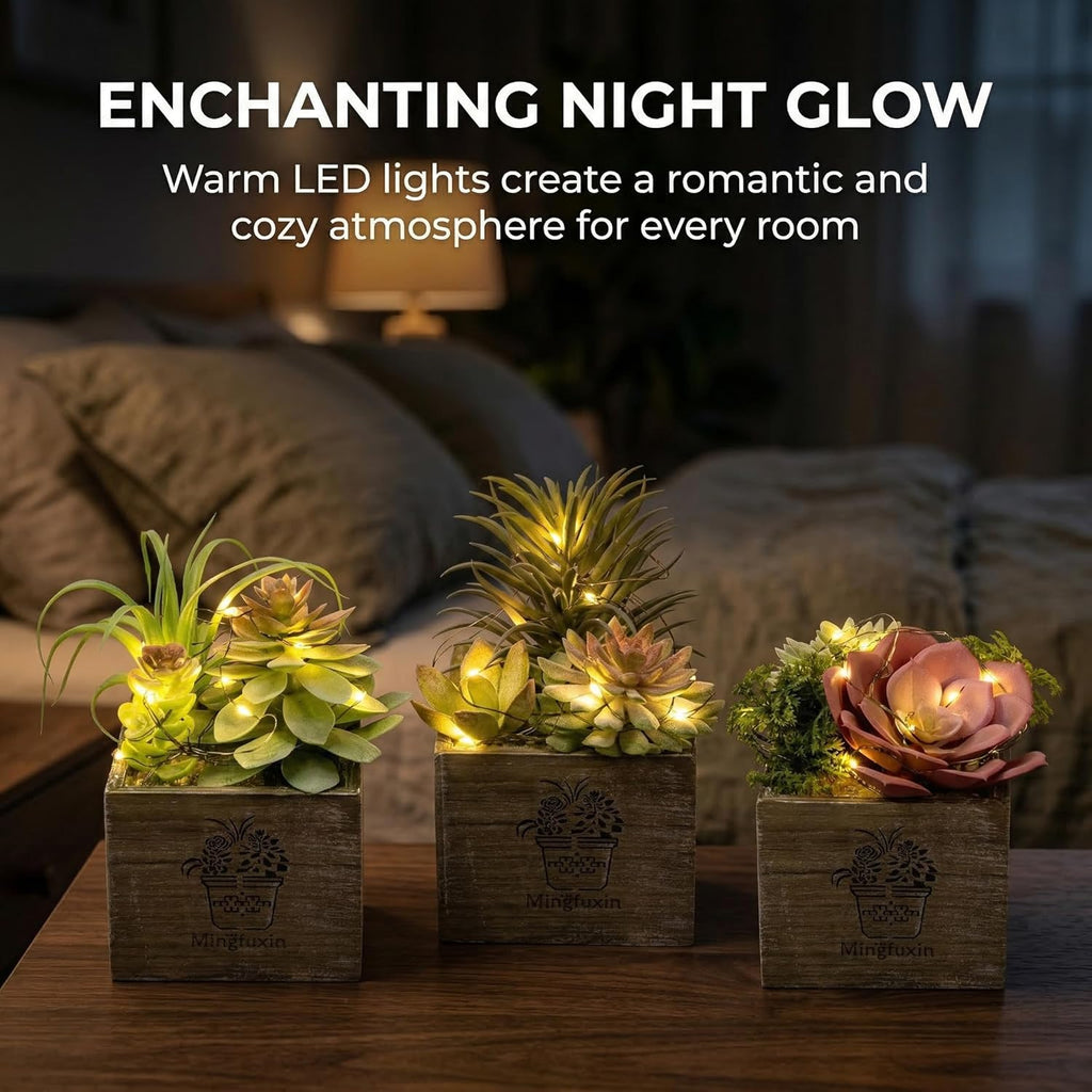 Small Fake Plants, Succulent Plants Artificial with Led Lights 3 Pack | Fake Succulents Decor Artificial Plants