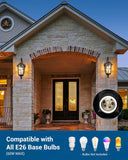 Outdoor Wall Light Fixtures, Black Roman 17.7" H Exterior Wall Lantern, Anti-Rust & Waterproof, Water Ripple Glass