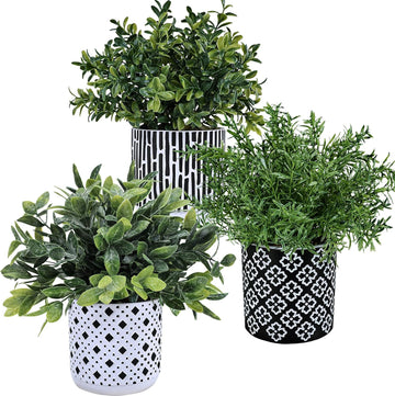 3-Pack Artificial Potted Plants - Faux Eucalyptus, Rosemary, Boxwood Greenery in Small Black & White Geometric