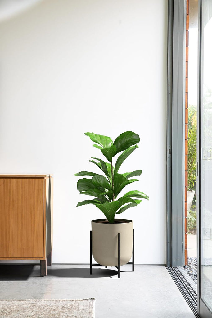 Mason Series Raised Lima Planter - Round Planter with Stand | Made From a Durable Plastic-Stone Composite & Comes