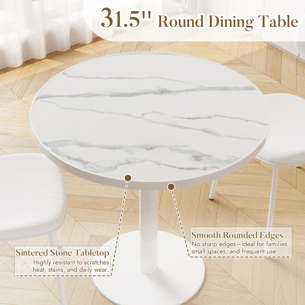 31.5'' Tulip Table, Round Dining Table with Matte Sintered Stone Tabletop