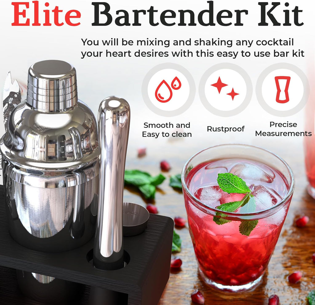 Cocktail Shaker Set: Bartender Kit Bar Mixology Cocktail Bar Set Plus E-Book with 30 Recipes (Silver)