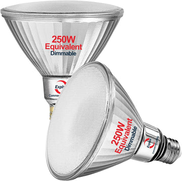Full Glass PAR38 Outdoor Flood Light, 250W Equivalent, 5000K, 2-Pack | Best-in-Class 3300 Lumens, Full Glass Outdoor