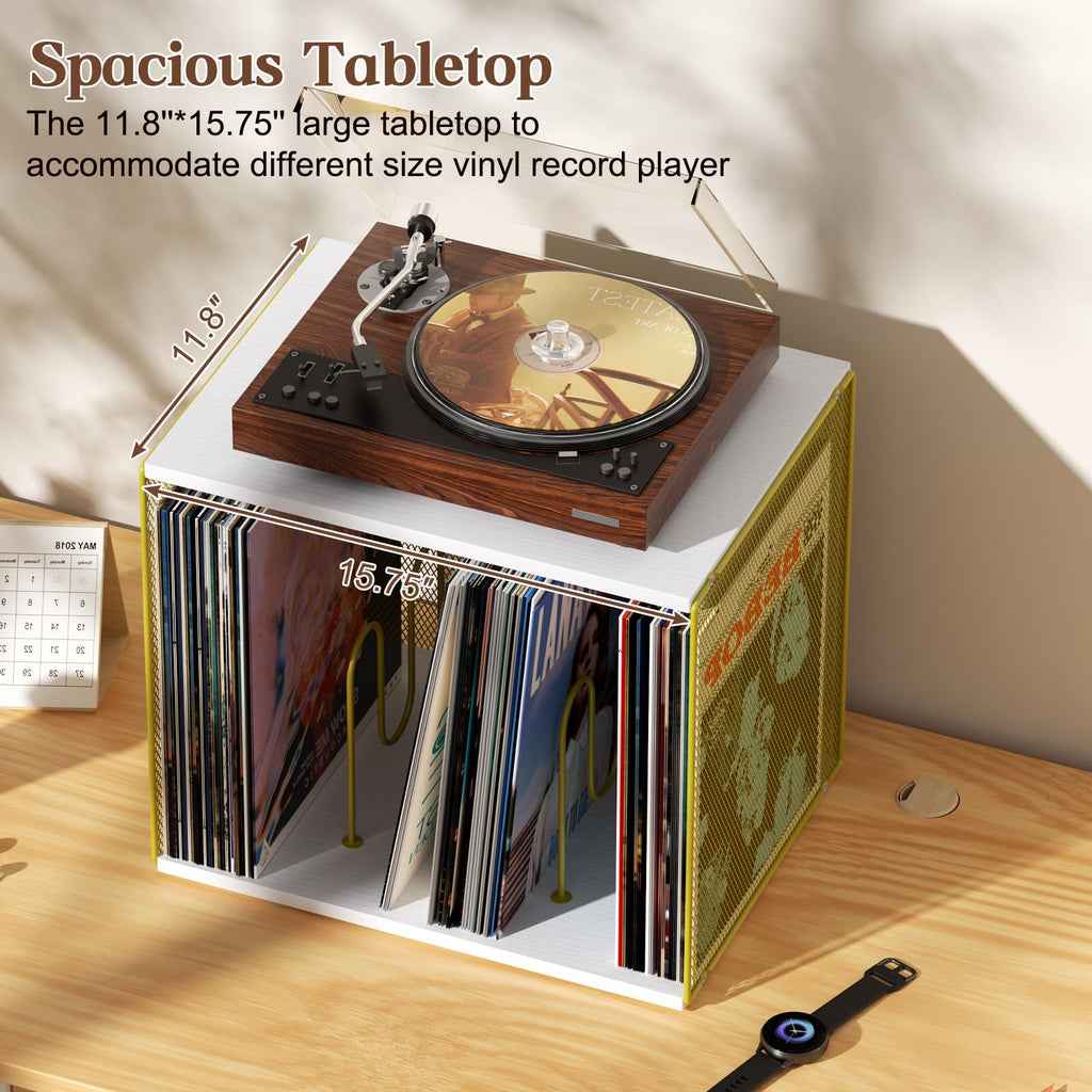 1 Cube Vinyl Record Storage, Wooden Stackable Record Crate, White & Gold