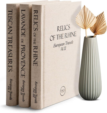 Decorative Books Decor Real Blank Pages Inside Set of 3 Designer-Inspired Faux Books with Beige Linen