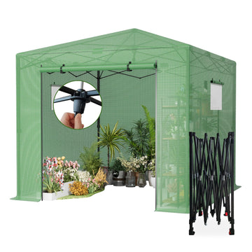 10x10 FT Pop Up Greenhouse for Outdoors, Walk-in Greenhouse with PE Cover