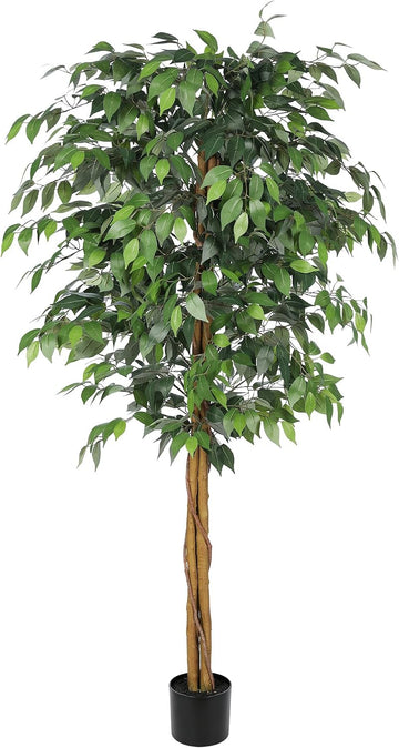 6ft Artificial Ficus Tree with Triple Trunk & Black Planter