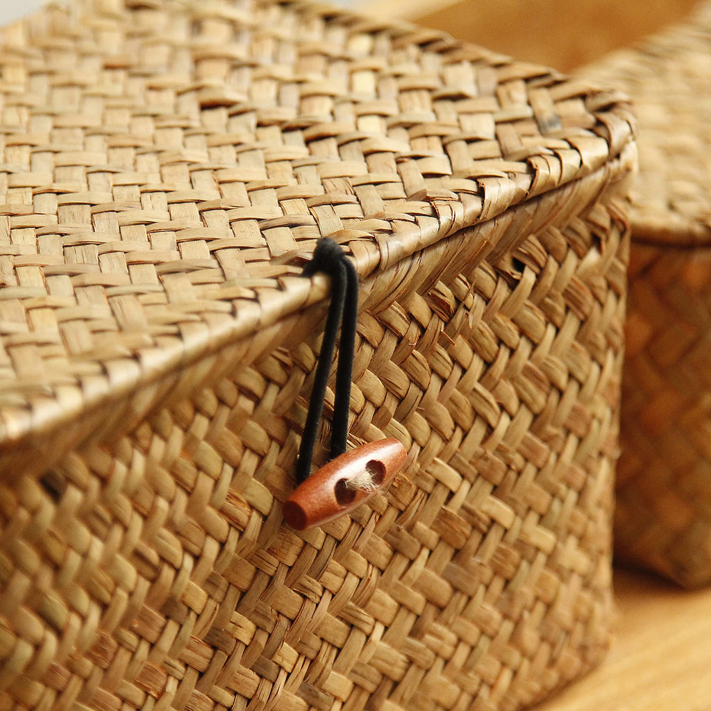 Mini Wicker Shelf Storage Baskets with Lid, Set of 3, (S/M/L)
