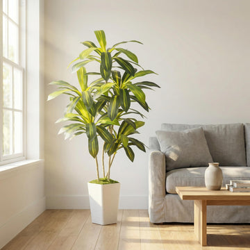 6FT Artificial Dracaena Tree Indoor with Tall White Planter