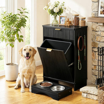 Dog Feeding Station with Storage Cabinet & 2 Elevated Bowls, Hooks, Black