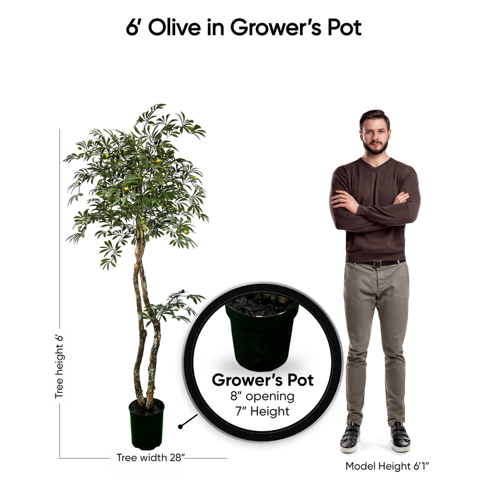 Handmade 6ft Mediterranean Olive Artificial Tree with Ethically Sourced Real Wood Trunks, Hypoallergenic, 6-Foot