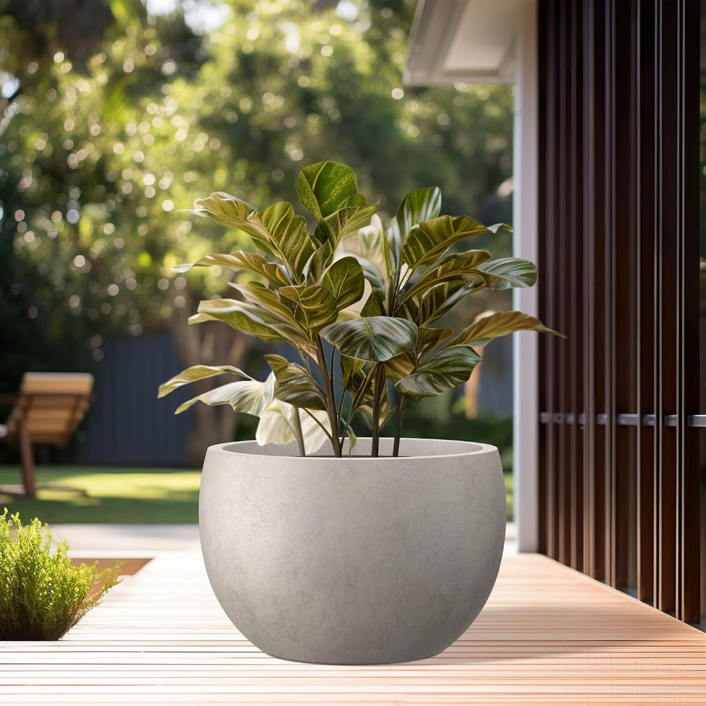 Large Round Bowl Weathered Concrete Planter 20" Dia, Outdoor | Rubber Plug for Indoor, Drainage for Garden