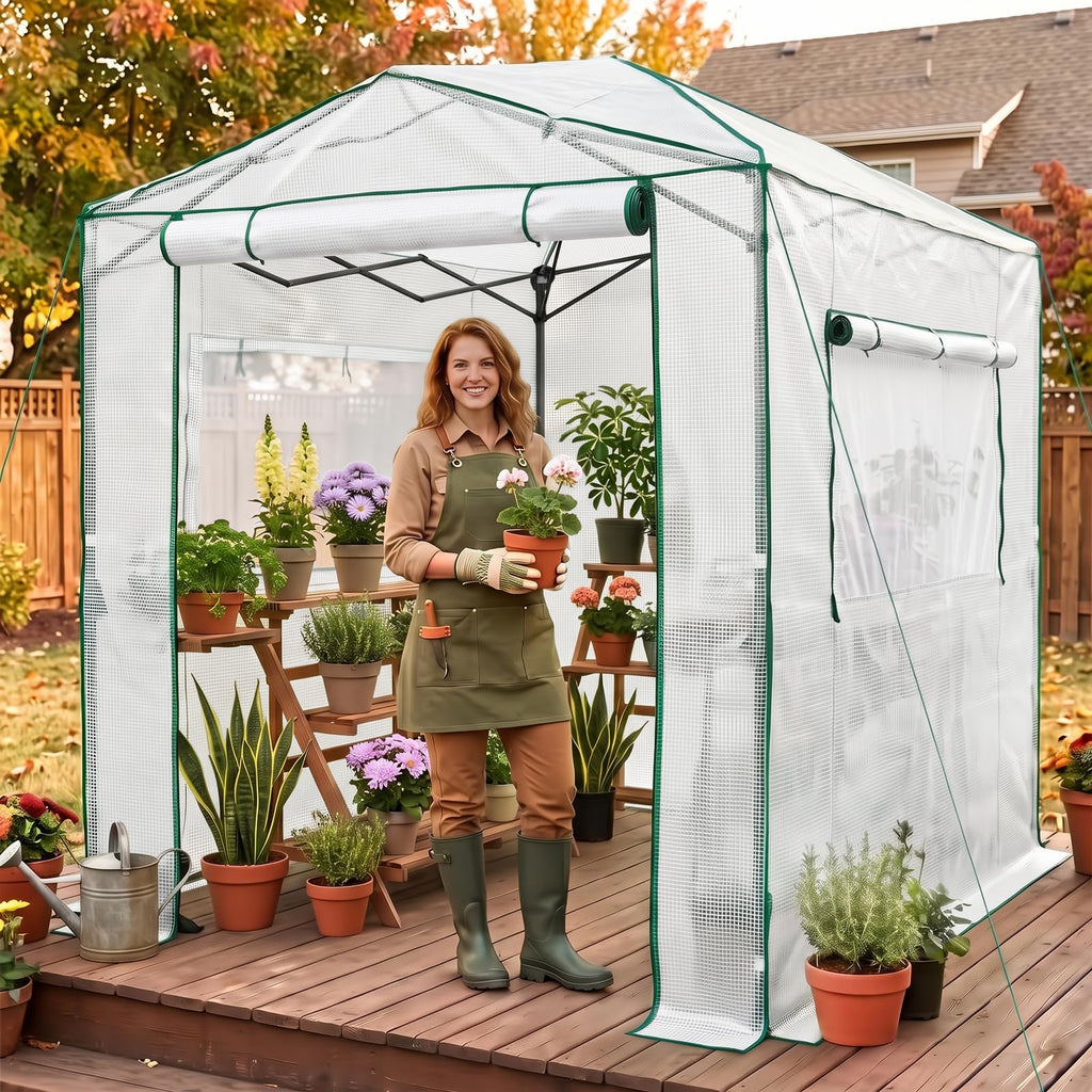 8x6 Easy Setup Pop Up Greenhouse, Clear/White