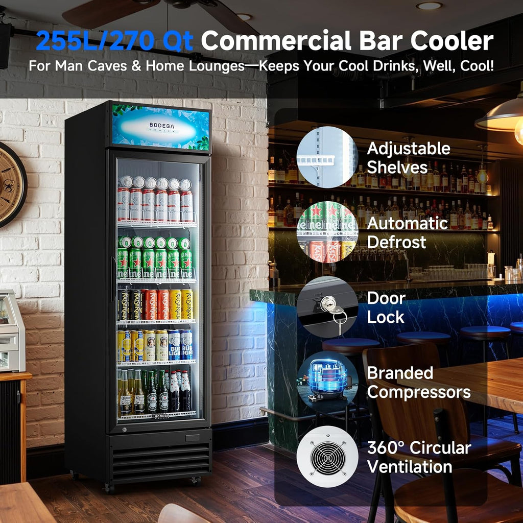 COOLER 255L/270 Qt Commercial Beverage Refrigerator | Glass Door Merchandiser Fr