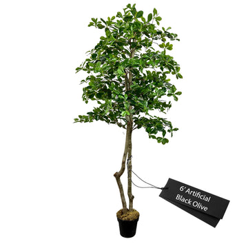 Handmade 6ft Italian Black Olive Leaf Artificial Tree with Ethically Sourced Real Wood Trunks, Hypoallergenic