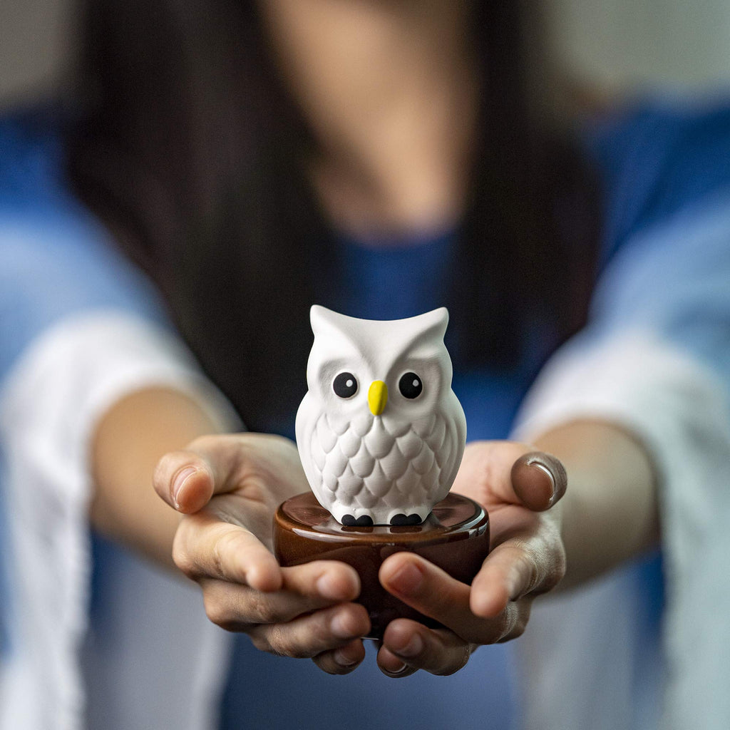 Blinky Owl, Non-Electric Ceramic Diffusers for Essential Oils and Aromatherapy Fragrance, White Ceramic Diffusers in