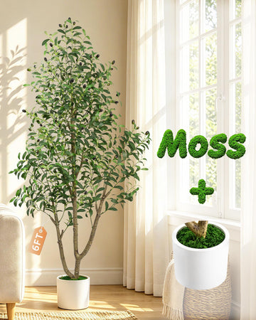6 FT Tall Faux Olive Trees Artificial Indoor with Planter & Moss Realistic