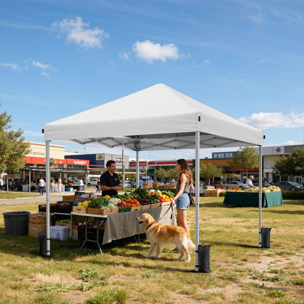 10x10 Pop Up Canopy Tent, Instant Setup Portable Canopy with Carry Bag, 4 Sandbags and 8 Stakes Events