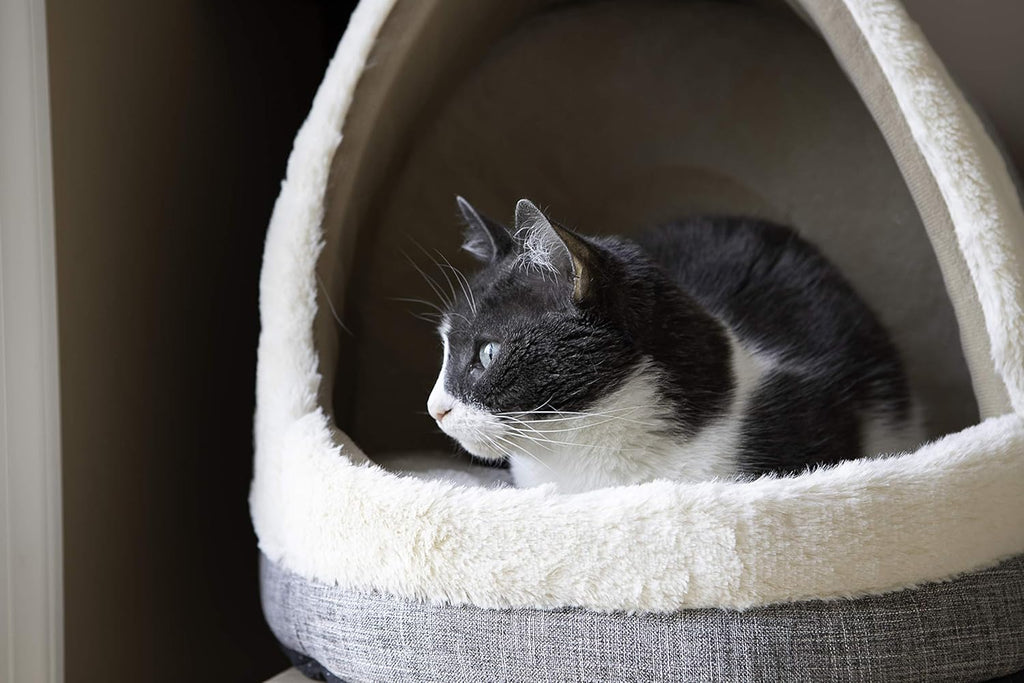 Cat Bed for Indoor Cat, Domed Tent House with Removable Pillow, Covered Cat Cave for Small Dog