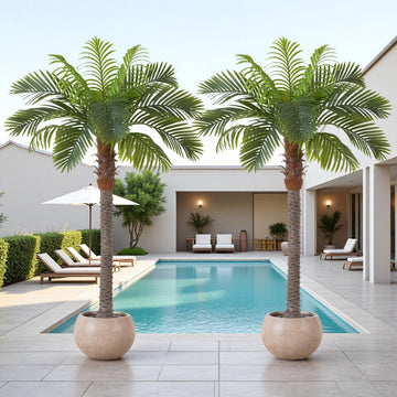 6FT Artificial Coconut Palm Tree Set of 2, Faux Sago Palm Plants 2-Pack