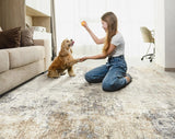 5x8 Area Rug Living Room Rugs - Washable Neutral Modern Abstract Soft Thin Large Rug Indoor Floor No Slip Rug Carpet