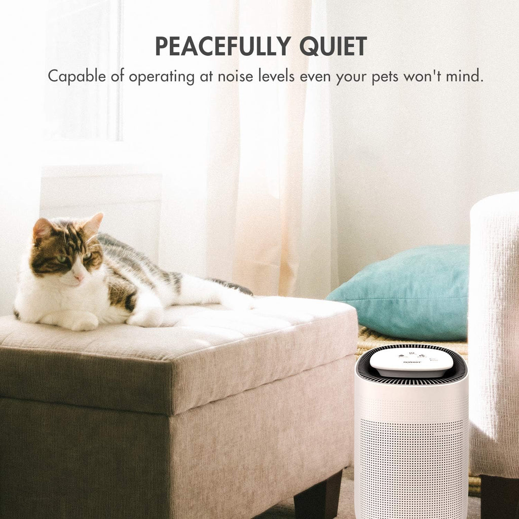 Sorbi 1000ml Air Dehumidifier w/Purifying Function, True HEPA Filter, Auto Shutoff, Touch Control Adjustable Air Speed
