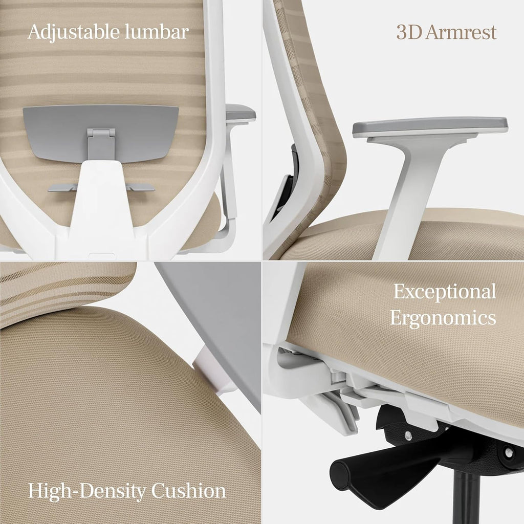 Ergonomic Chair - A Versatile Desk Chair with Adjustable Lumbar Support, Breathable Mesh Backrest, and Smooth Wheels