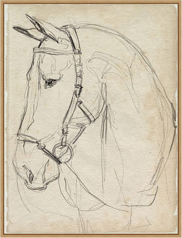 Framed Canvas Wall Art 30x23 Horse in Bridle Sketch II by Jennifer Paxton Parker, Framed Wall Art Canvas, Animals