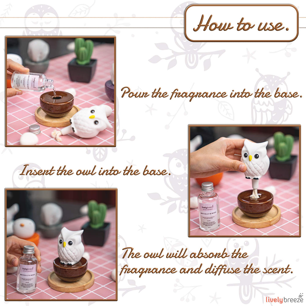 Blinky Owl, Non-Electric Ceramic Diffusers for Essential Oils and Aromatherapy Fragrance, White Ceramic Diffusers in