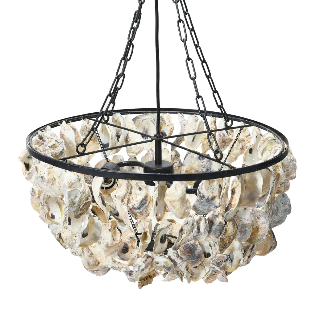 Round Oyster Shell Chandelier with 2 Lights