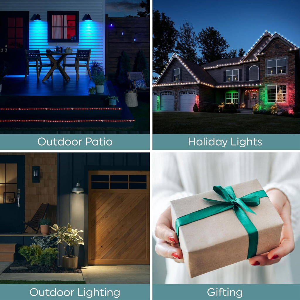 LED+ Color Changing PAR38 Outdoor LED Light Bulbs with Remote, 15 Watts, Outdoor Rated Floodlight (3 Pack)