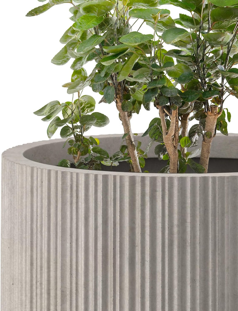 Small Round Tapered Weathered Concrete Planter 24" Tall, Outdoor | Fluted, Rubber Plug for Indoor, Drainage for