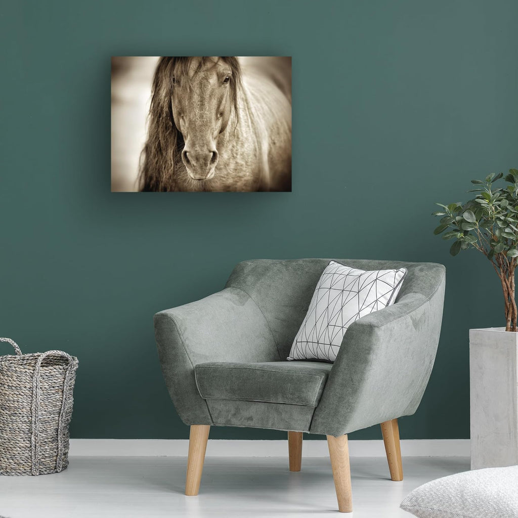 Wrapped Canvas Wall Art - Lisa Dearing 'Mustang Sally Horse' Wall Art , or Office Décor - 18x24