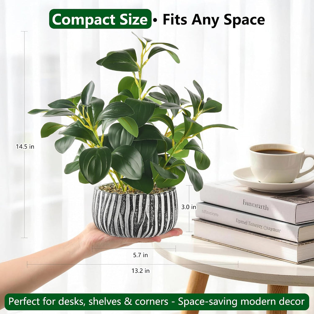 Artificial Plants Succulents with Fig Leaf Greenery in Rustic Clay Planter | Fake Plants Potted Decor Desk and Coffee