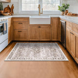 Washable Neutral Farmhouse Large Entryway Rug, 3x5 Area Rugs