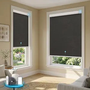 Motorized Blinds with Remote, Smart Roller Shades, Black, 23" x 72"