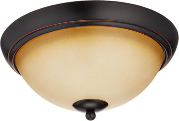 Essex 16-3910 Series 2-Light Ceiling Light