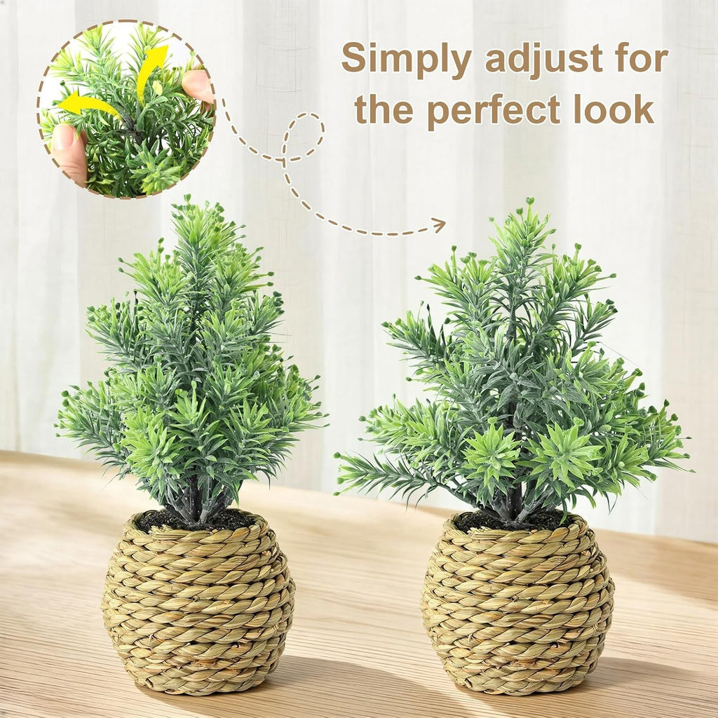 Small Fake Plants, 4 Pack Artificial Plants in Handwoven Seagrass Baskets | Natural Woven Texture, 4 Unique Plant