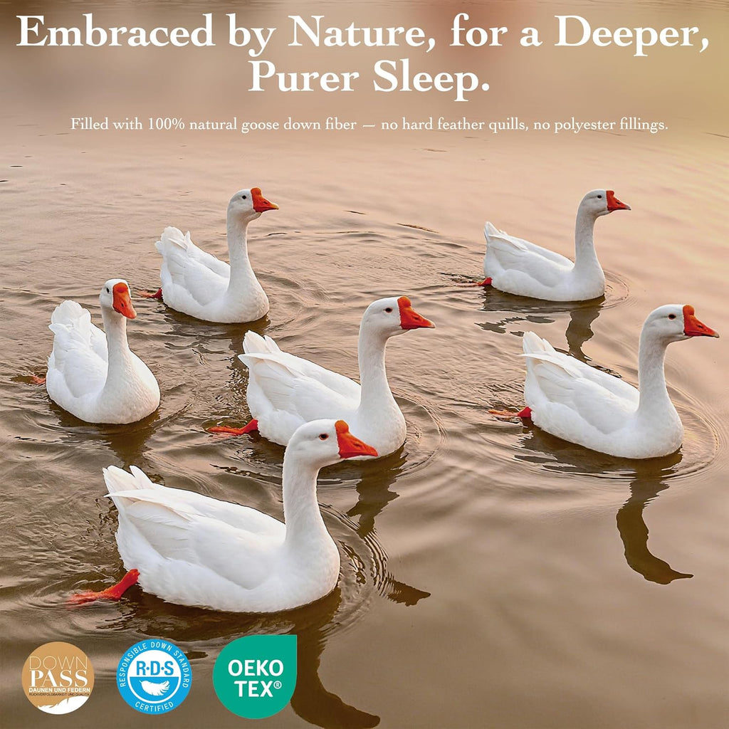 Goose Down Fiber Comforter Queen - All Season Naturally Breathable Down Comforters