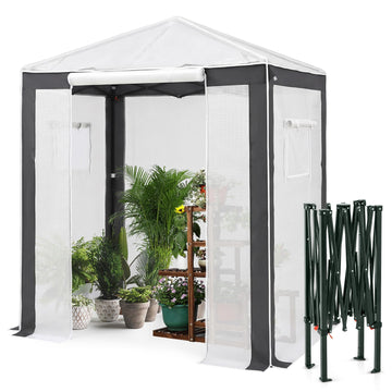 6x4 Walk in Pop Up Greenhouse, Gray/White