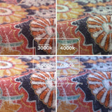 Reine Boho 2'8"x10' Washable Hallway Kitchen Runner Rugs with Rubber Backing, Bohemian Non-Slip Soft