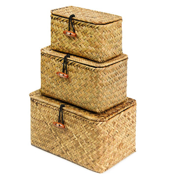 Mini Wicker Shelf Storage Baskets with Lid, Set of 3, (S/M/L)