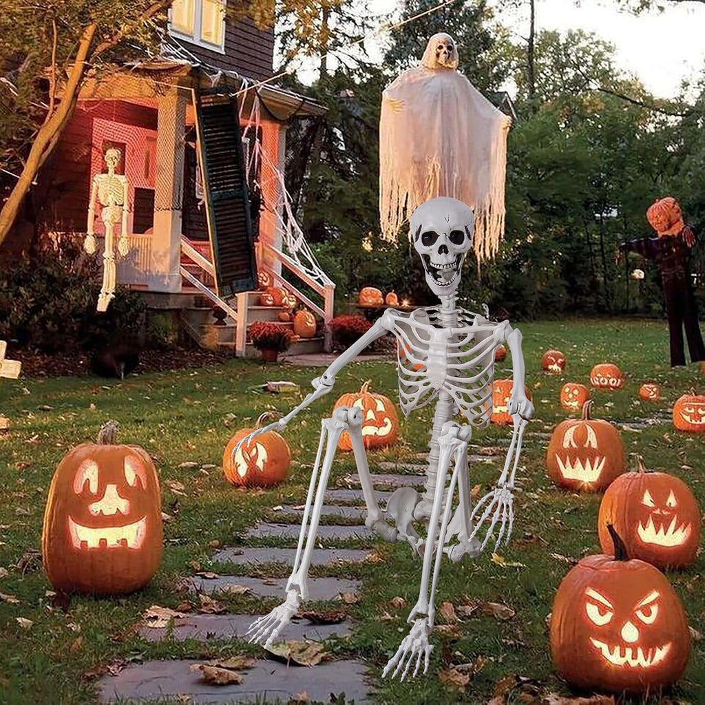 5.9ft/180cm Posable Halloween Skeleton, Life Size Skeleton Bones with Movable Joints for Halloween Graveyard Haunted